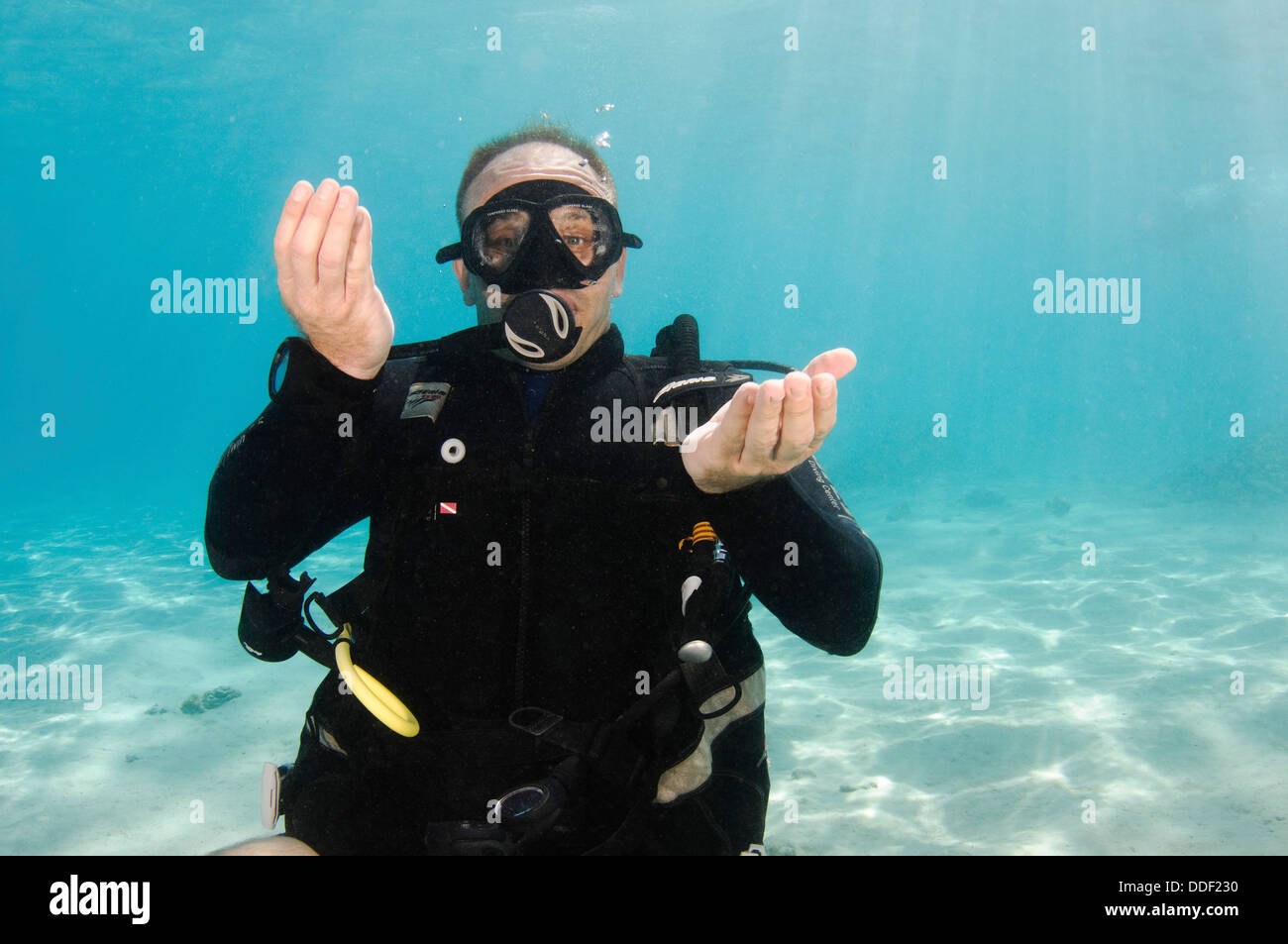 Adjust your buoyancy or pay attention to your buoyancy. Stock Photo