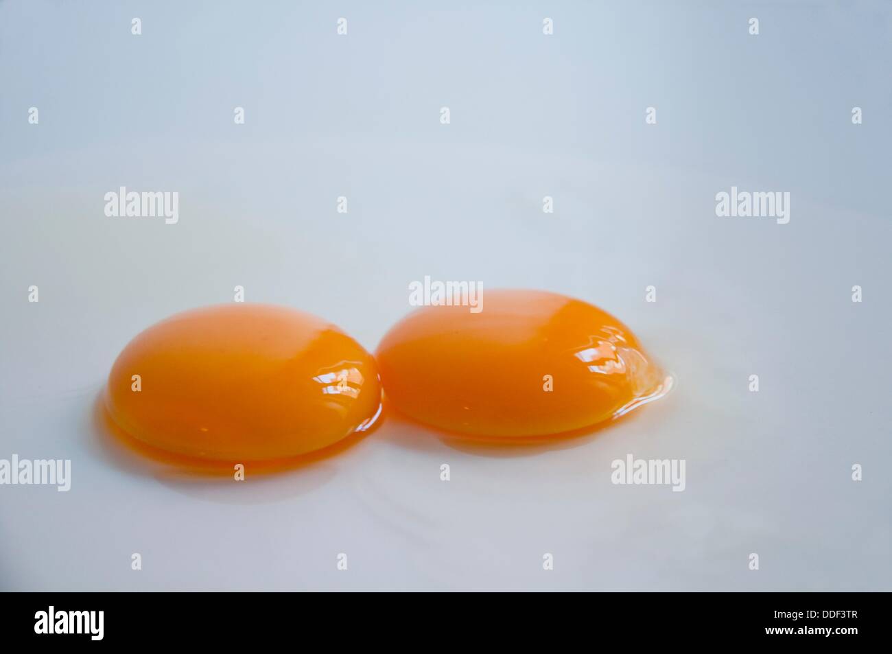Twin yolk egg hires stock photography and images Alamy