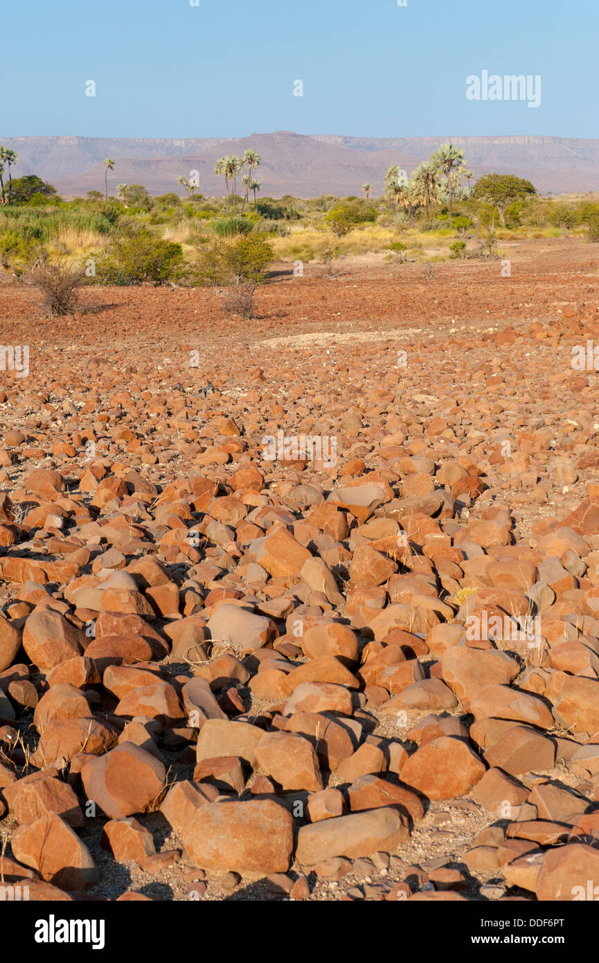 Arid landscape at Palmwag, Kunene Region, Namibia Stock Photo