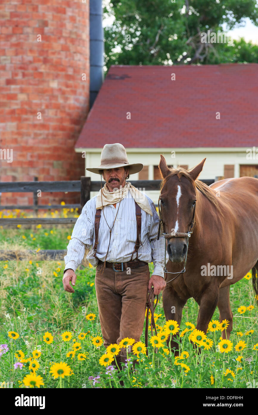 A cowboy walking his horse through a sunflower field away from the barn and corral Stock Photo