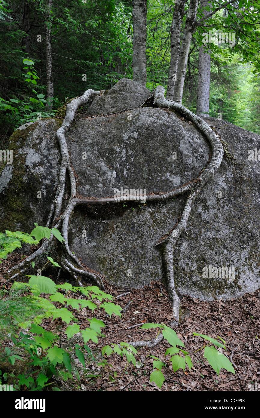 Saguenay National Park, Riviereeternite district, Province of Quebec