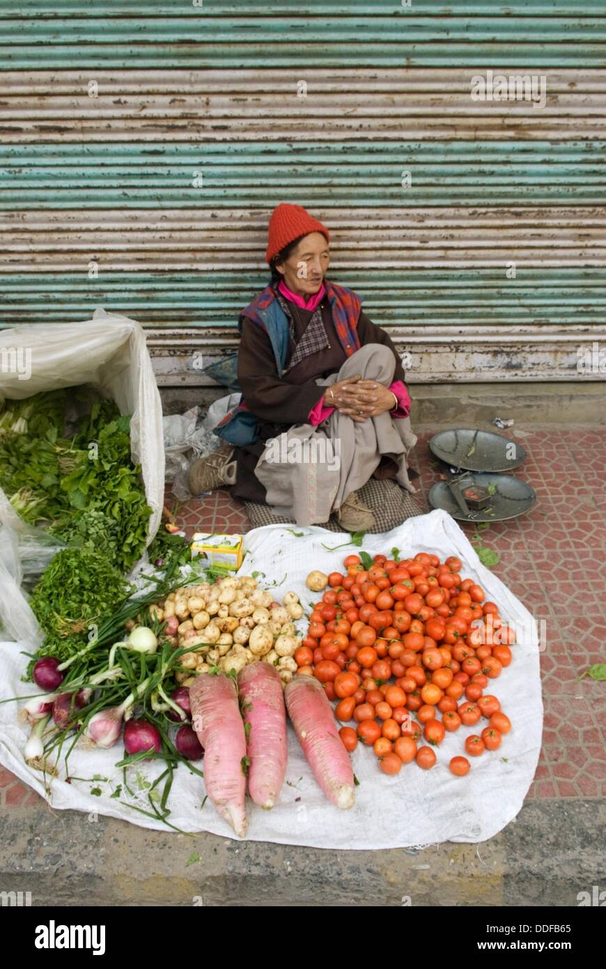 vegetables vendor in a street of Leh,Ladakh, Jammu and Kashmir state