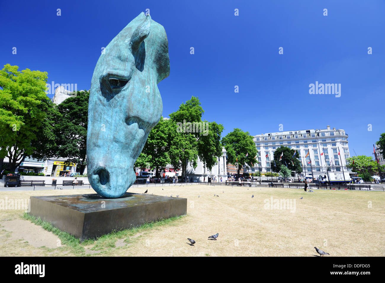Bronze horse head drinking water sculpture, 'Still Water' by Nic