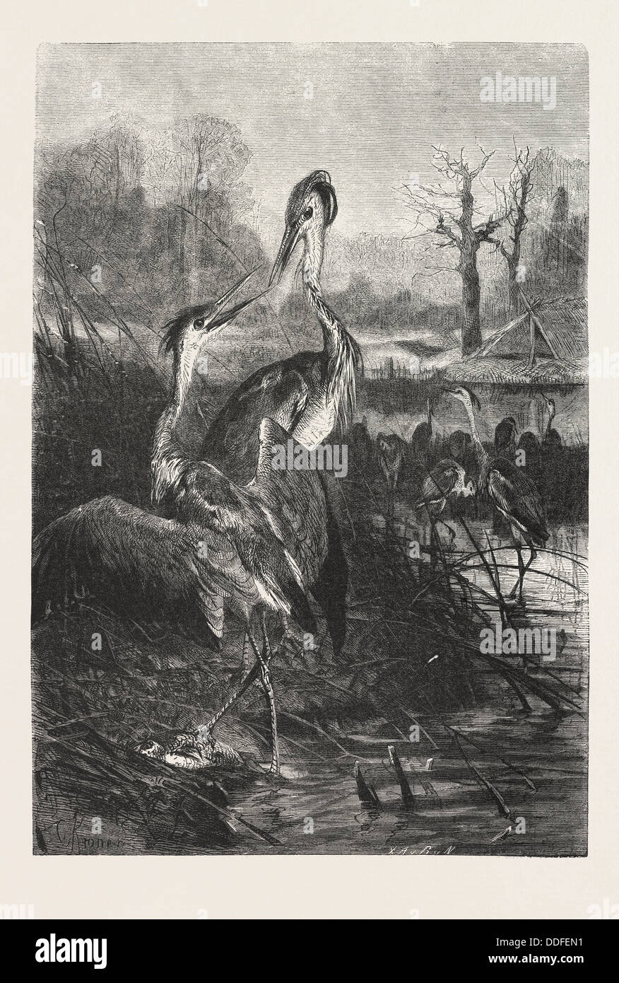 THE QUARRELSOME ANGLERS, ENGRAVING 1876 Stock Photo