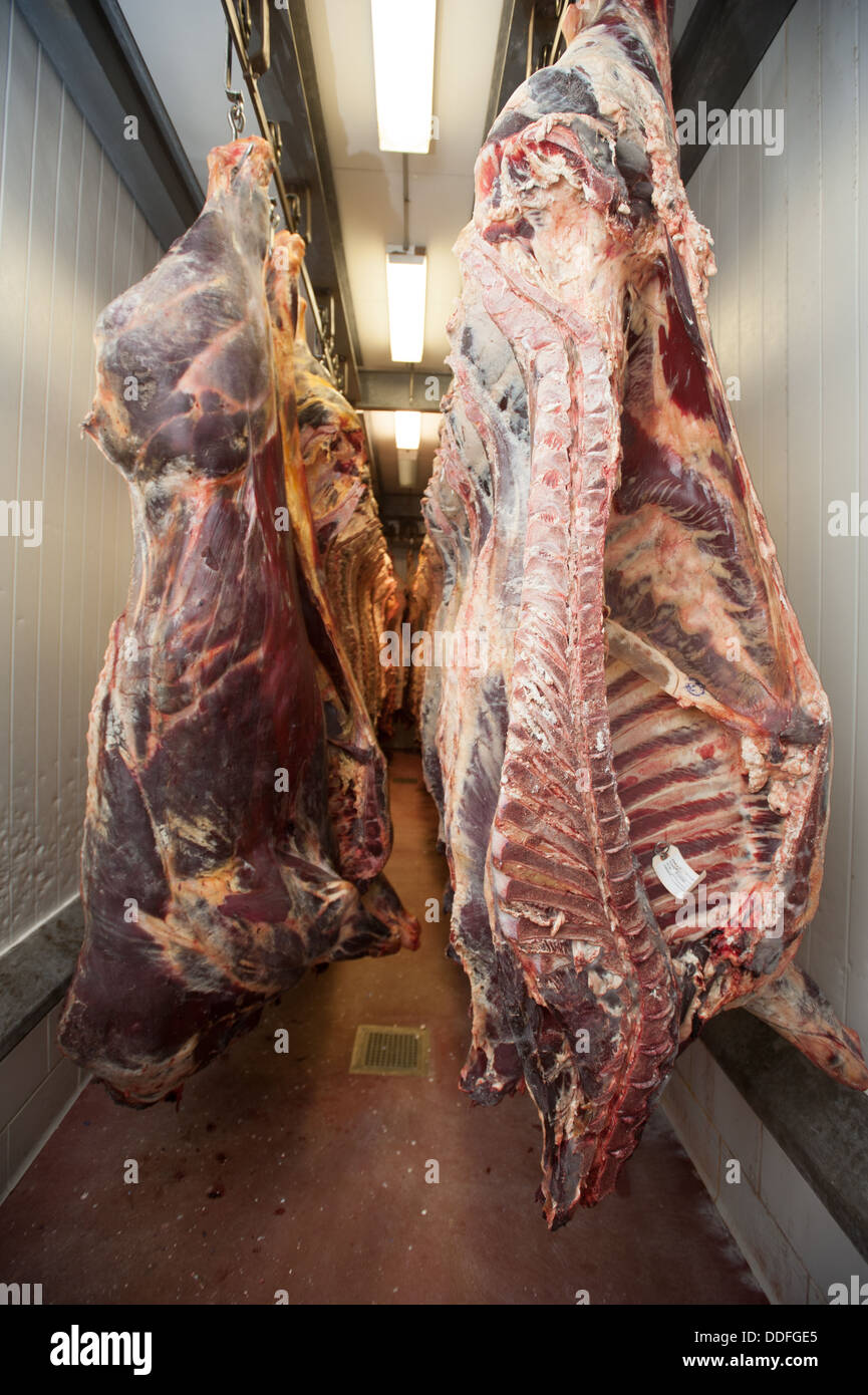 Hanging meat hi-res stock photography and images - Alamy