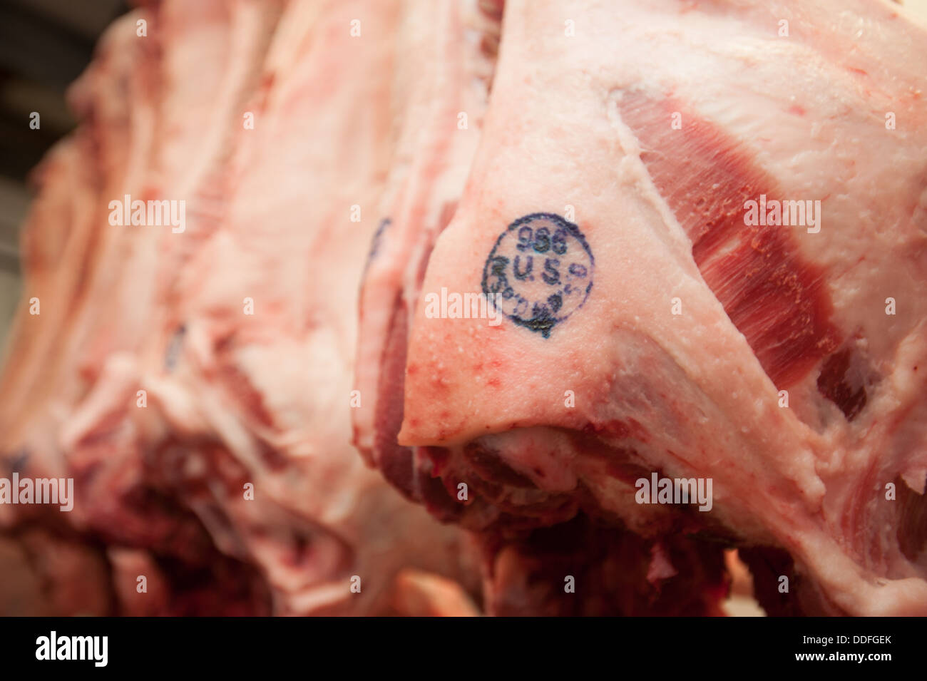 Pork sides with USDA stamp in meat locker Stock Photo