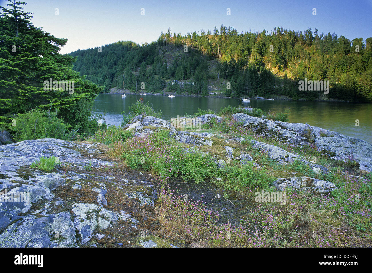 Halkett Bay Provincial Marine Park Gambier Island, British Columbia