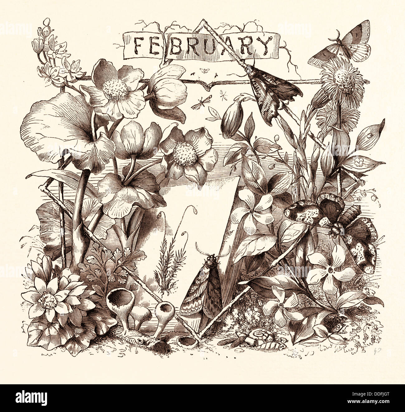 FEBRUARY calendar year month monthly Stock Photo Alamy FEBRUARY calendar year month monthly Stock Photo Alamy
