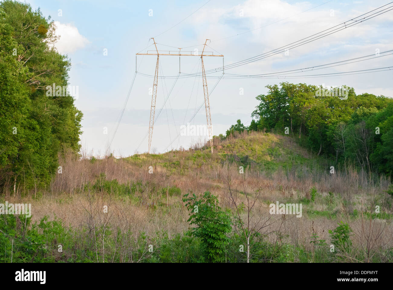 Electricity pylons and wires in a green field against blue sky Stock ...