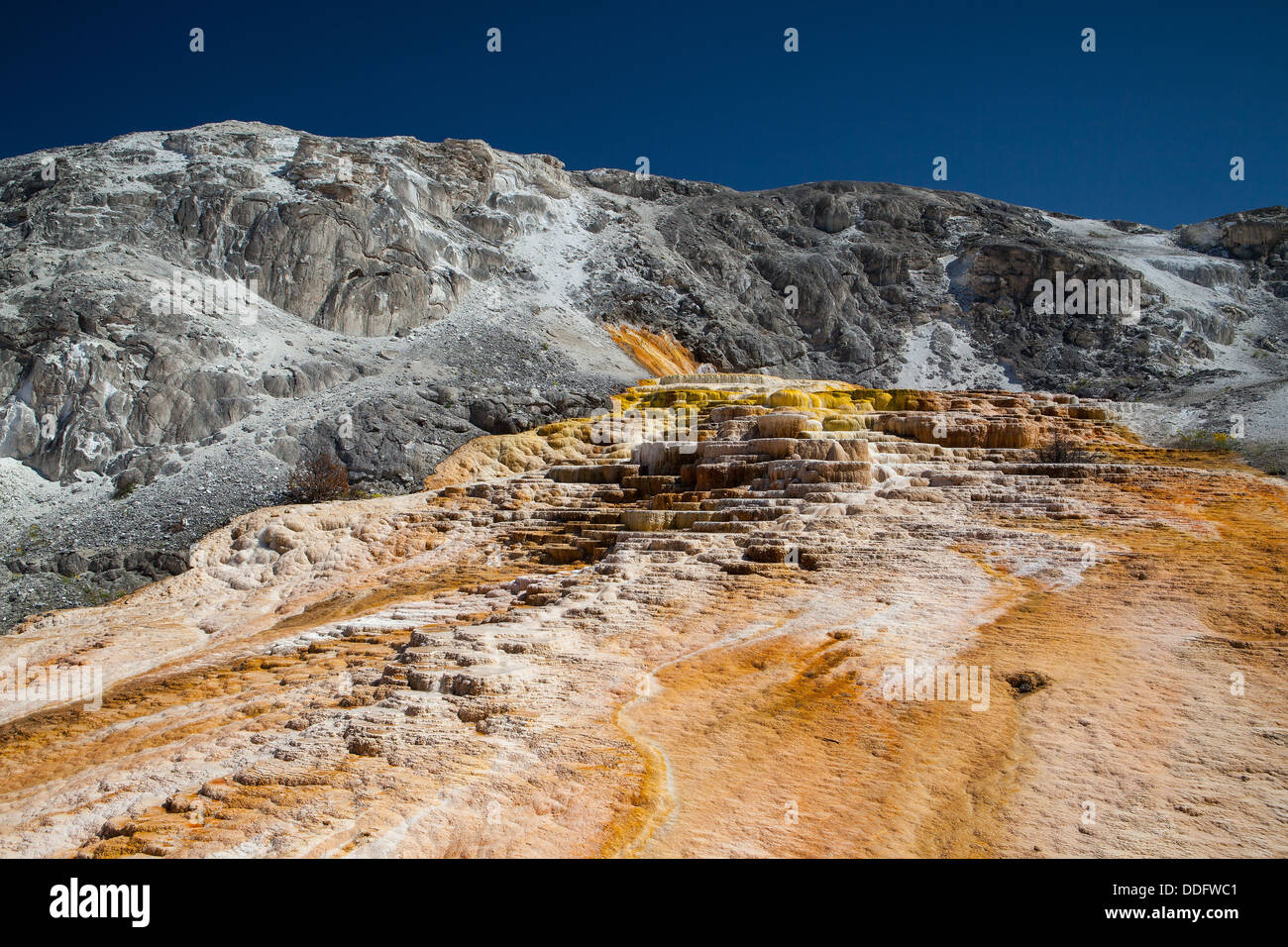 Mammoth Hot Springs Terraces in Yellowstone National Park Stock Photo