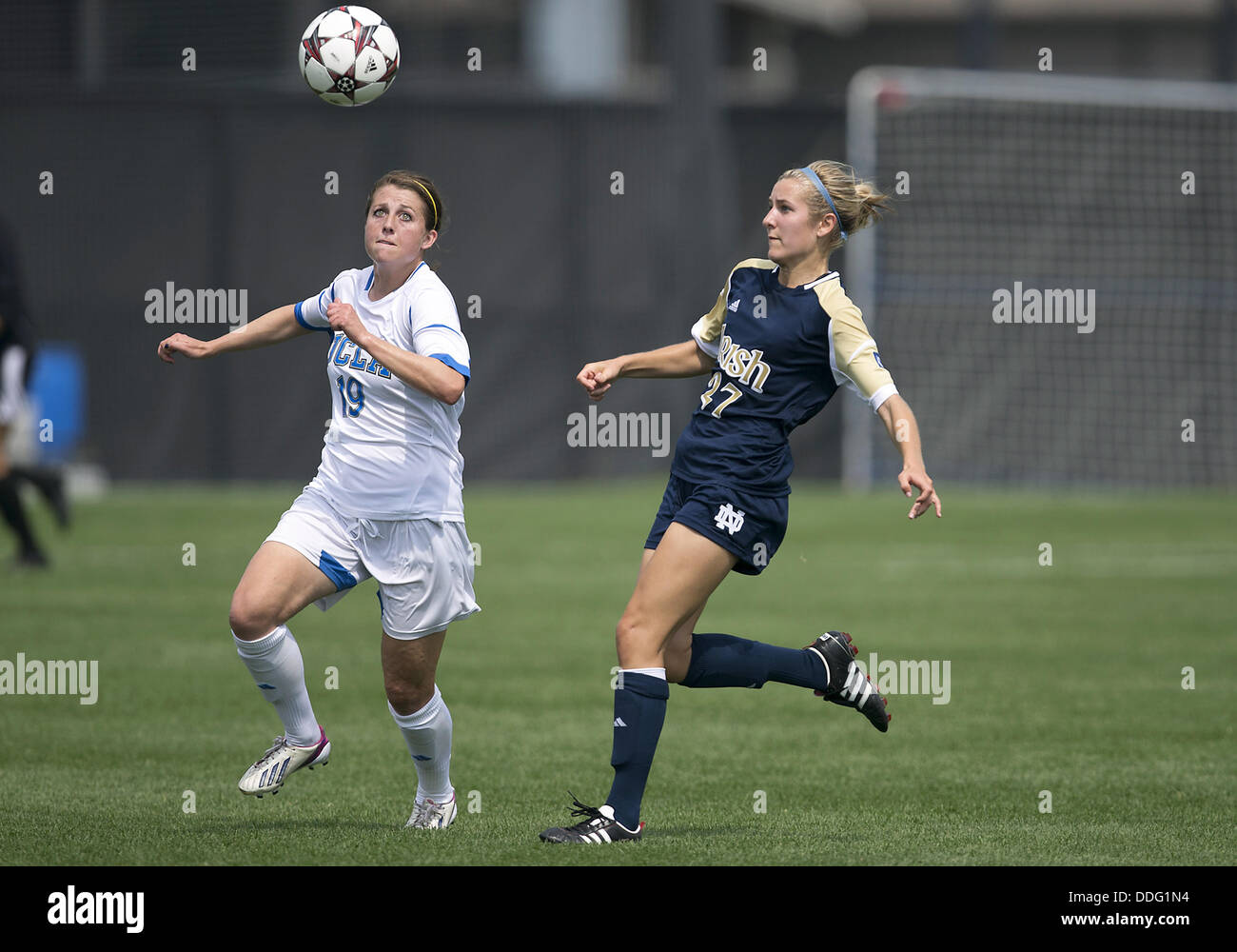 South Bend, Indiana, USA. 1st Sep, 2013. September 01, 2013: Notre Dame forward Kaleigh Olmsted (27) and UCLA defender Chelsea Stewart (19) battle for the loose ball during NCAA Soccer match between the Notre Dame Fighting Irish and the UCLA Bruins at Alumni Stadium in South Bend, Indiana. UCLA defeated Notre Dame 1-0. © csm/Alamy Live News Stock Photo