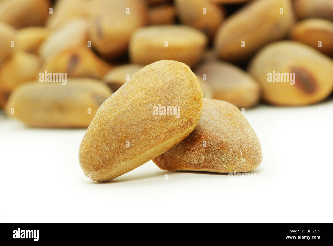 cedar nuts Stock Photo