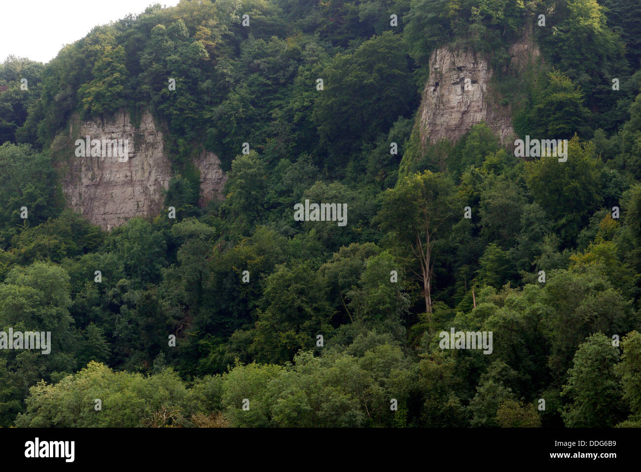 Cliffs on River Wye near Symonds Yat, River Wye, England, UK Stock Photo