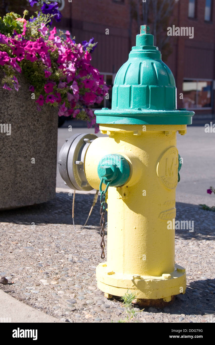 Yellow and green fire hydrant standing on an Ellensburg street, Kittitas County, Washington WA, USA Stock Photo
