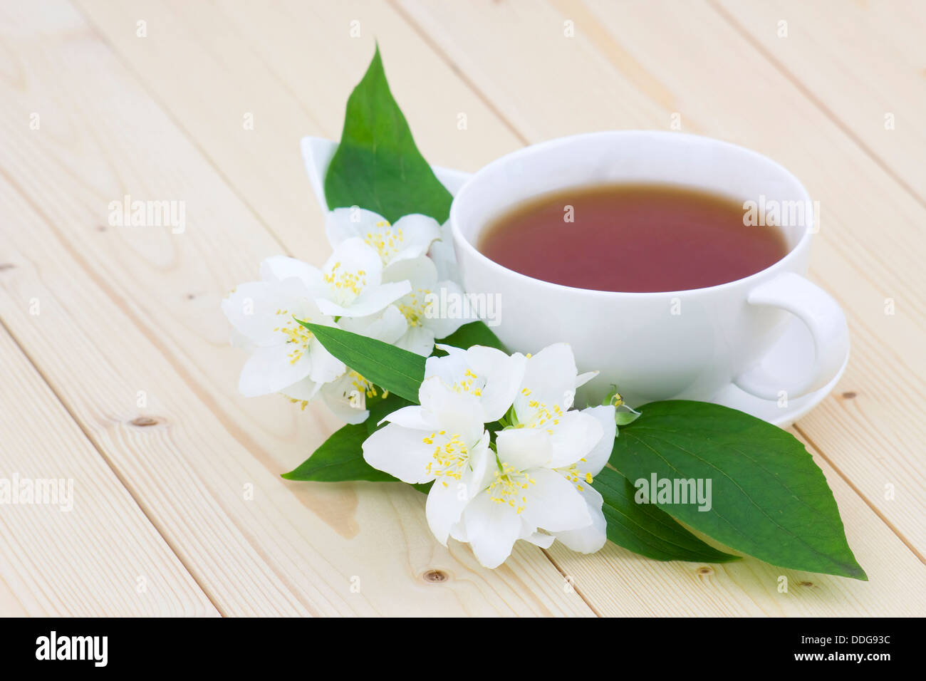 Cup of jasmine tea and jasmine flowers Stock Photo Alamy