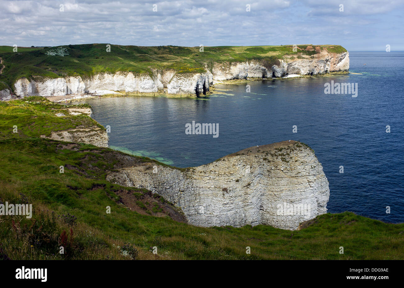 High chalk cliffs, Flamborough Head, Yorkshire, UK Stock Photo Alamy