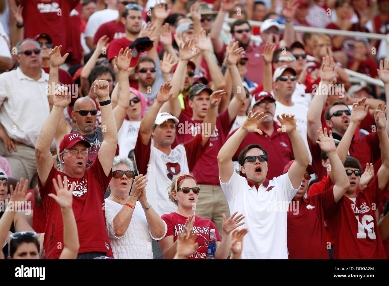 Arkansas fans perform a 'Hog Call' during a Razorback football game in Fayetteville, Ark. Stock Photo