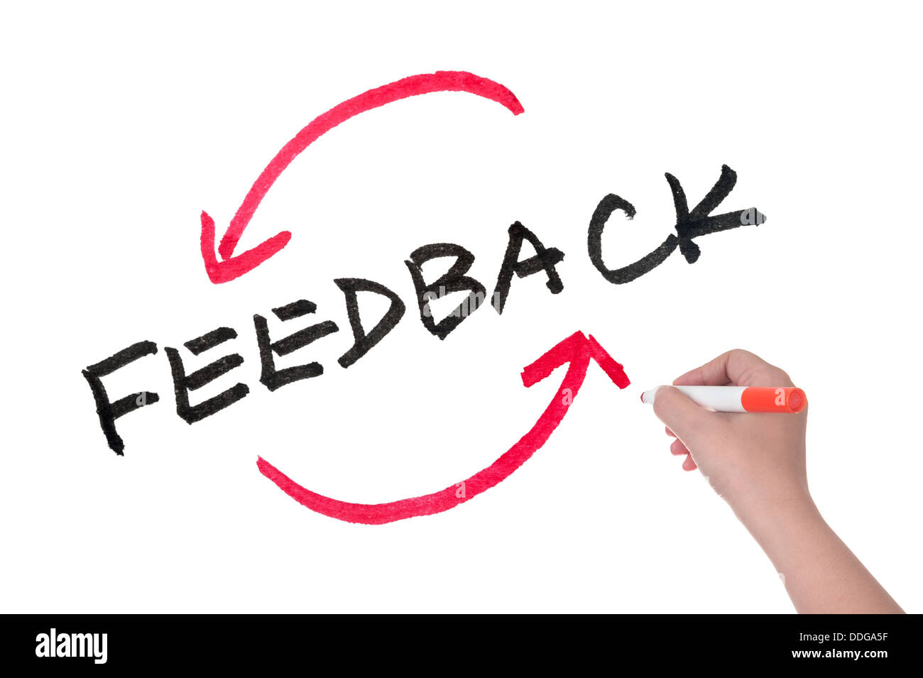 Feedback concept words written on white board Stock Photo Alamy