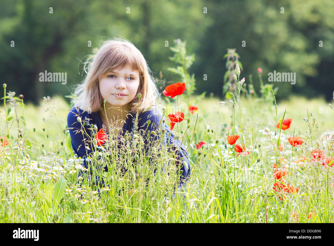 Cute young girl in poppy field Stock Photo - Alamy