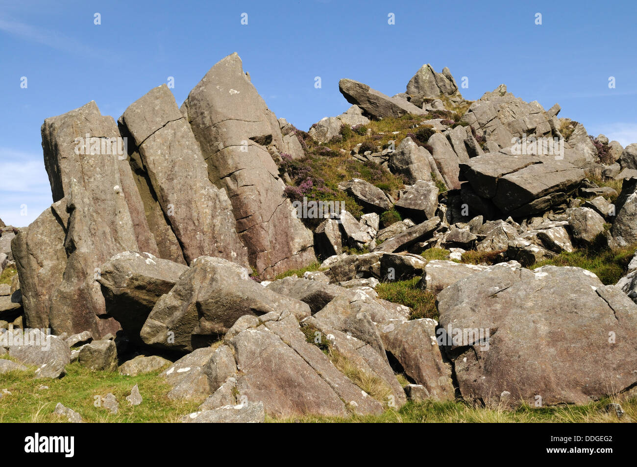 Bluestones outcrops of spotted dolerite Carn  Menyn or Carn Meini Preseli Hills Pembrokeshire Wales Cymru UK GB Stock Photo