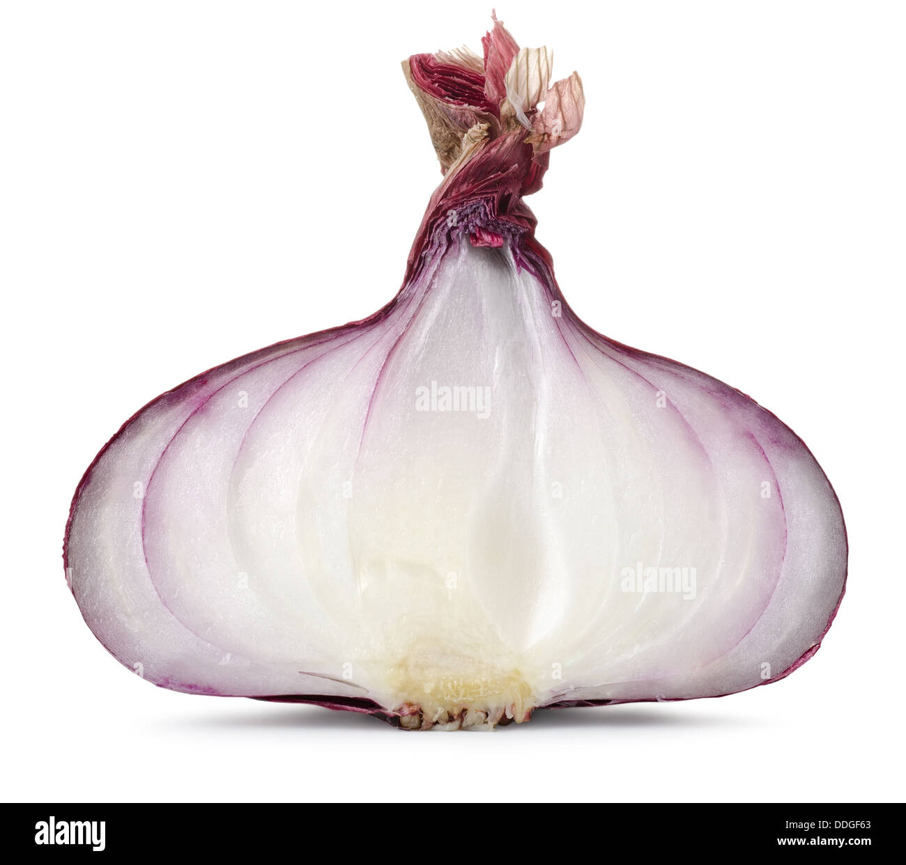 Sliced Red onion Stock Photo