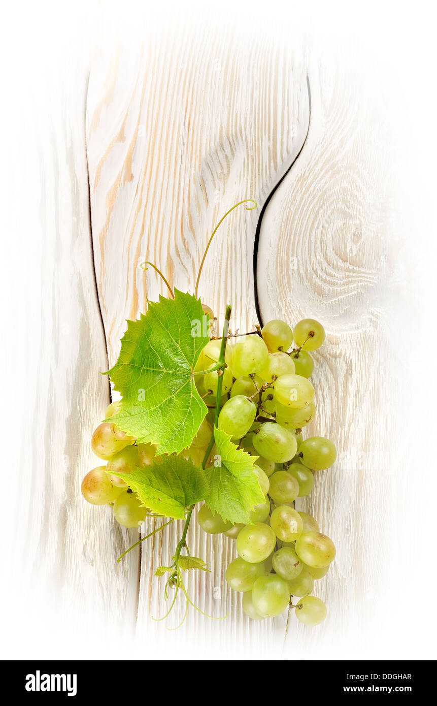 Grapes tree Cut Out Stock Images & Pictures Alamy