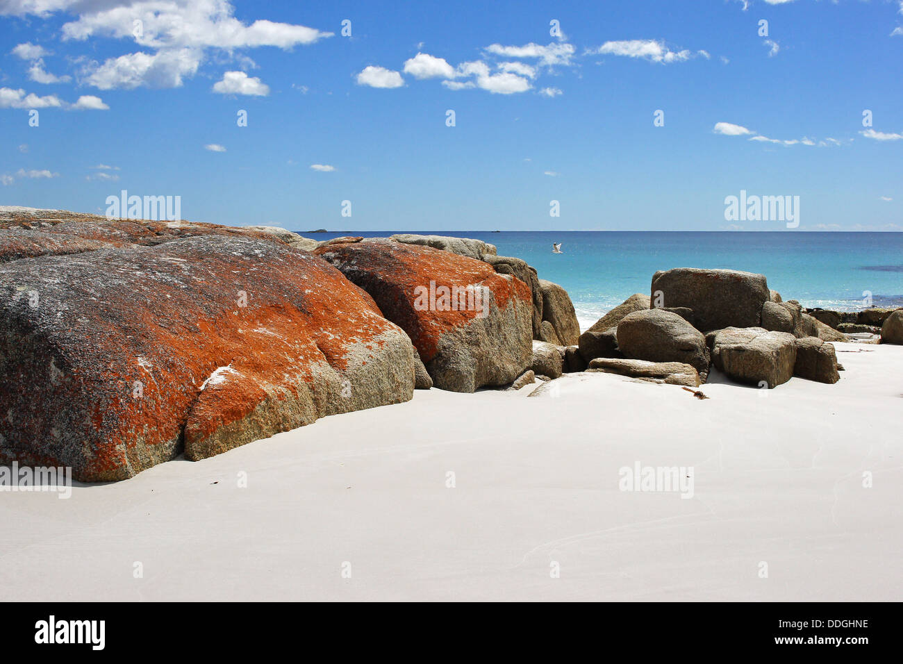 Bay of Fires, Tasmania, Australia Stock Photo Alamy