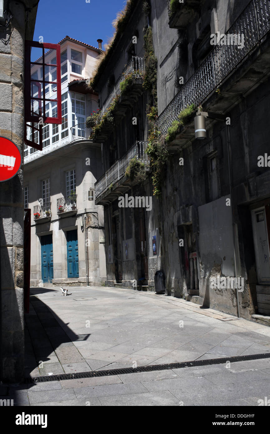 Cat in a narrow street in the old town - Vigo - Pontevedra - Galicia - Spain Stock Photo