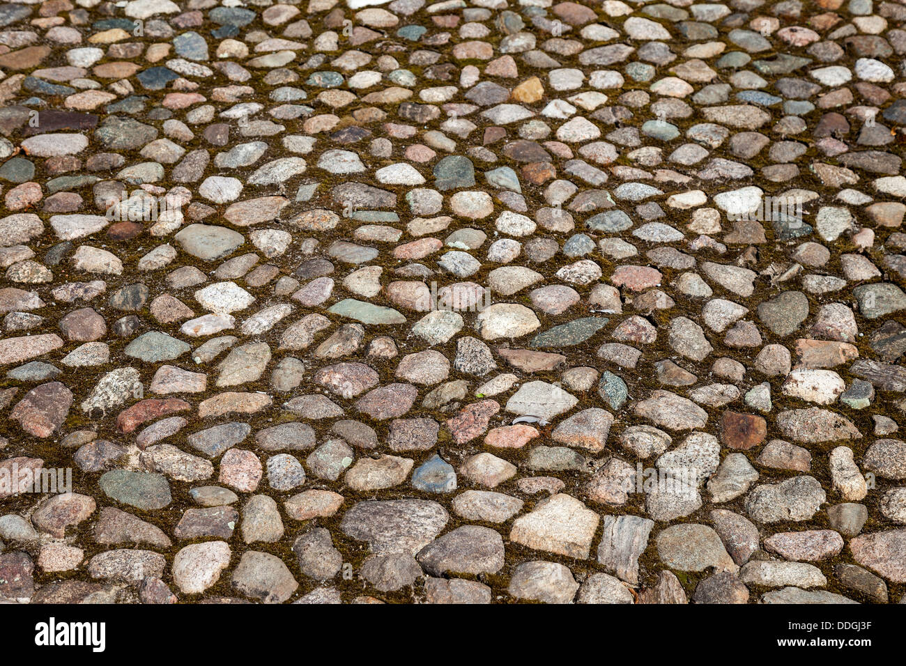 Old paved roadway as background Stock Photo