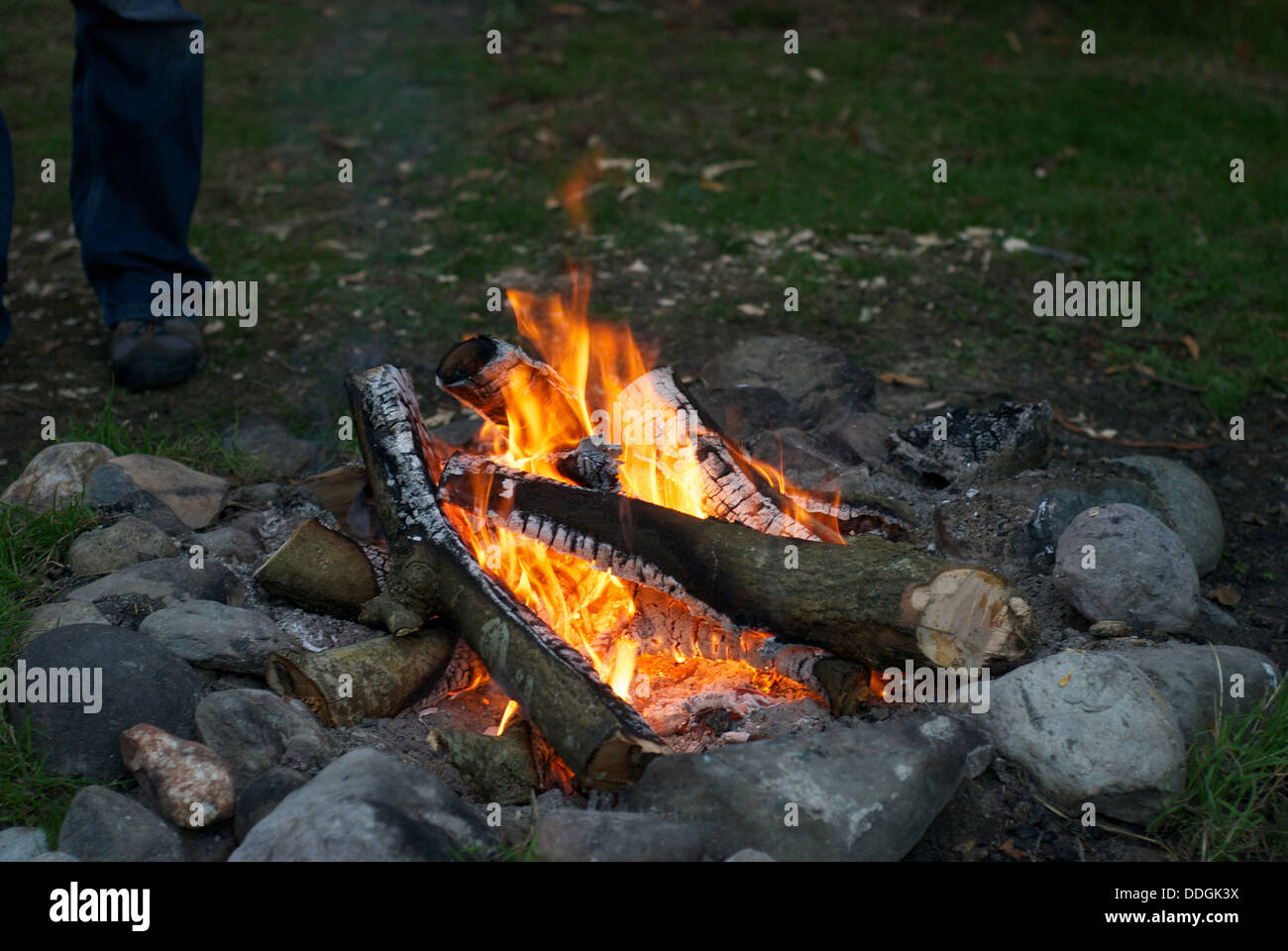 camp fire in a fire pit with burning logs Stock Photo Alamy