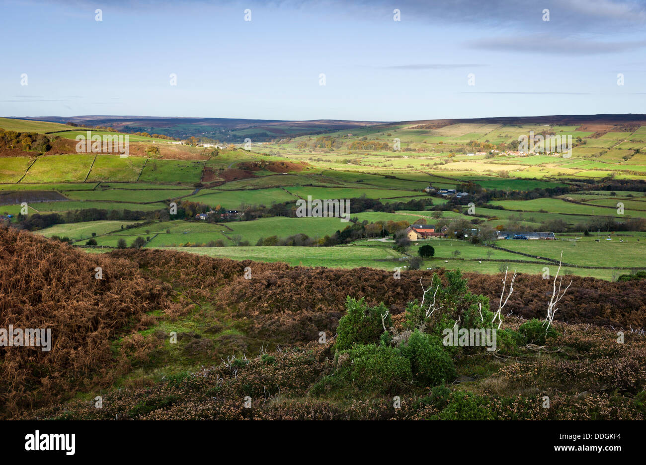 Glaisdale Moor, North York Moors National Park, Yorkshire, UK Stock