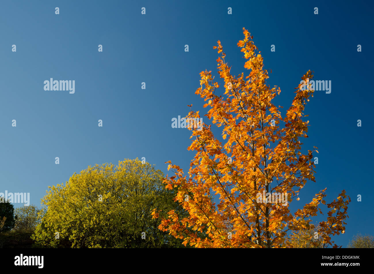 Blue sky with colors hi-res stock photography and images - Alamy