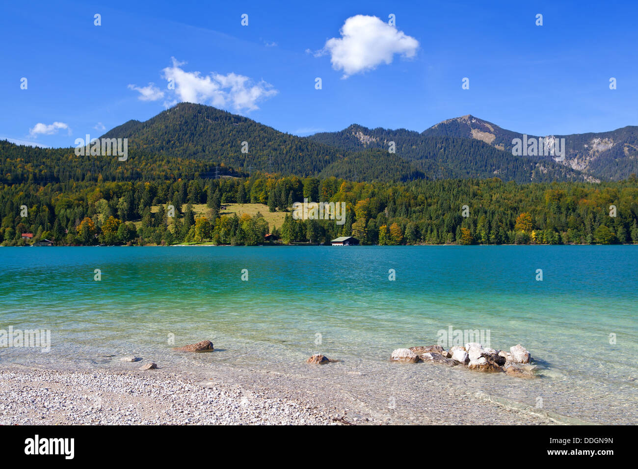 lavender Walchensee in Germany Stock Photo