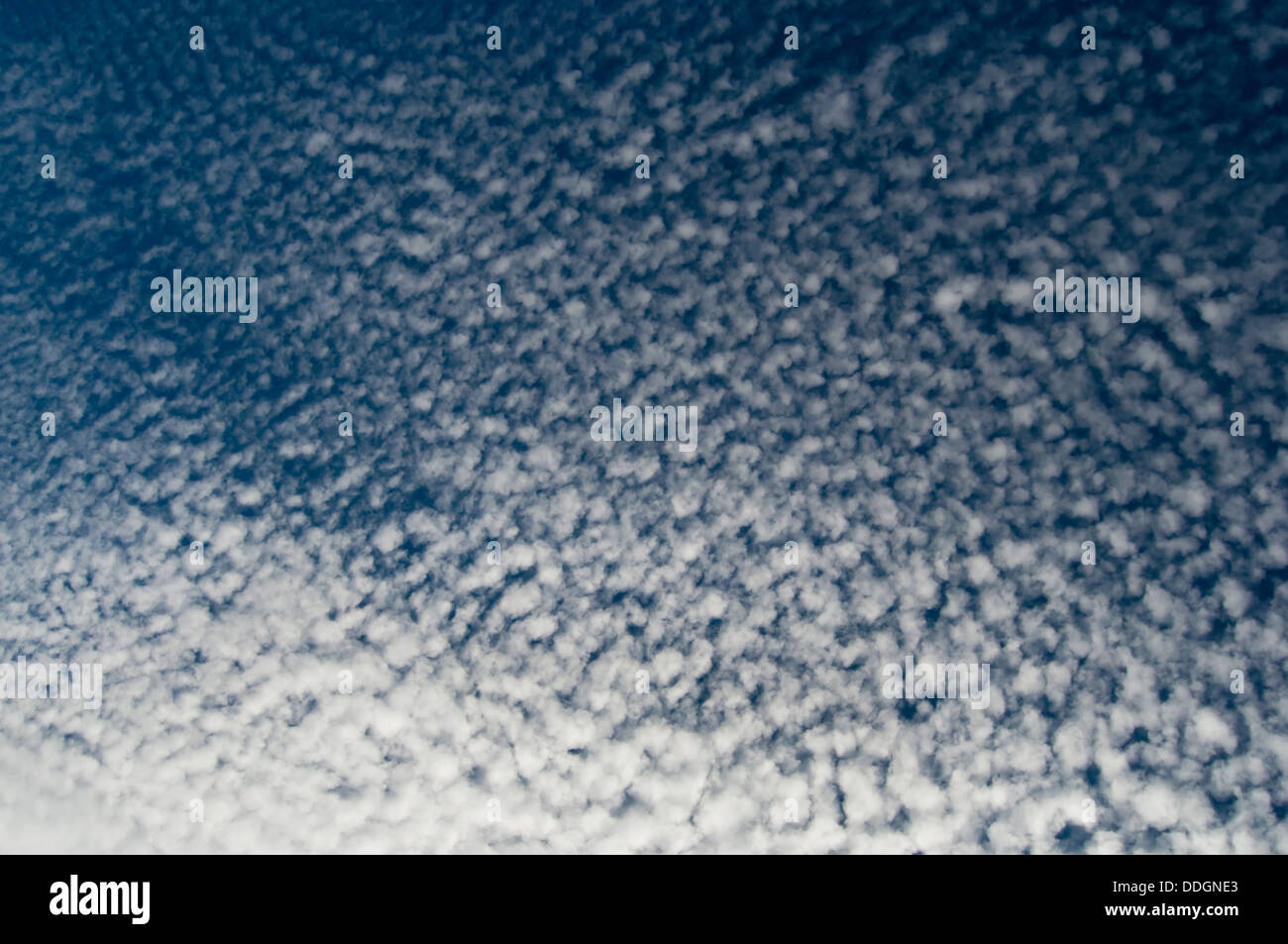 Blue sky full of Altocumulus clouds Stock Photo - Alamy