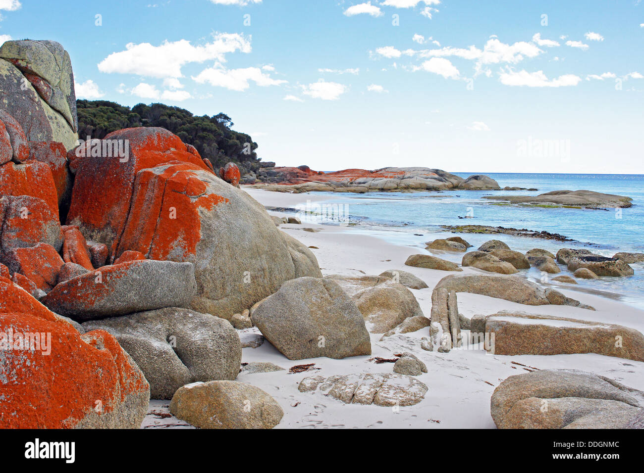 Bay of Fires, Tasmania, Australia Stock Photo Alamy