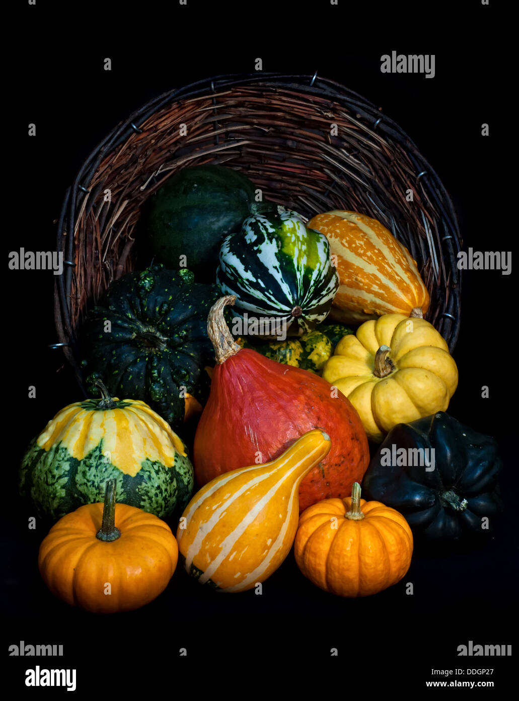 Colorful pumpkins collection on the black background Stock Photo - Alamy