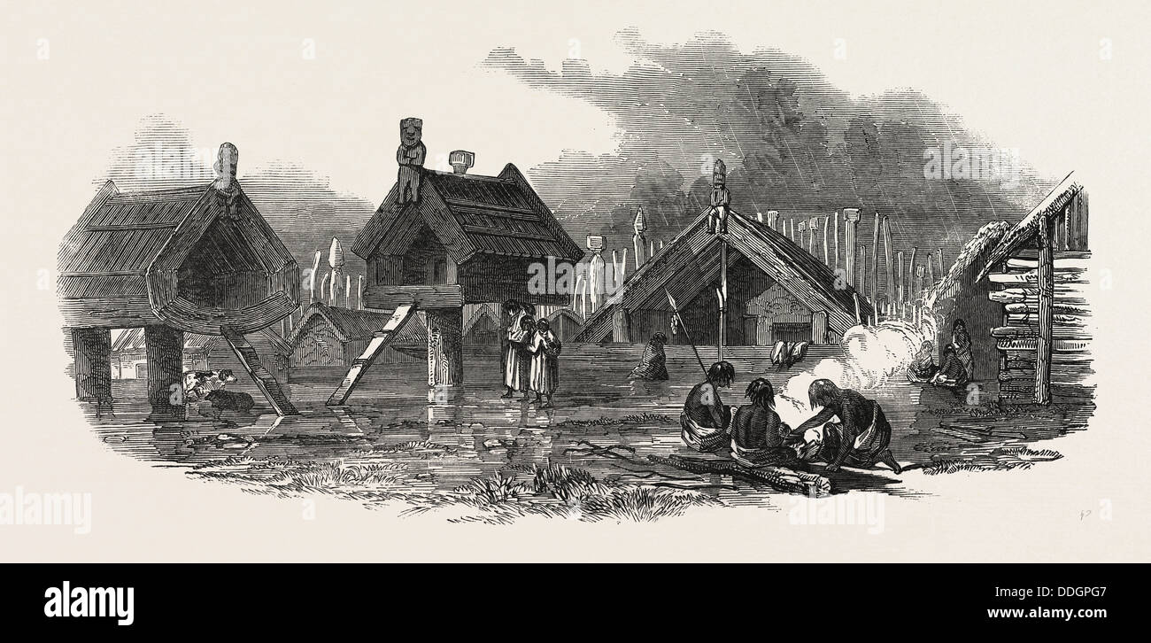 NEW ZEALAND: PUTIKIWARANUI PAH, WANGANUI, 1847 Stock Photo