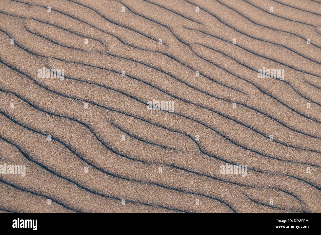 Texture - sandy surface with the ripples formed by wind Stock Photo - Alamy