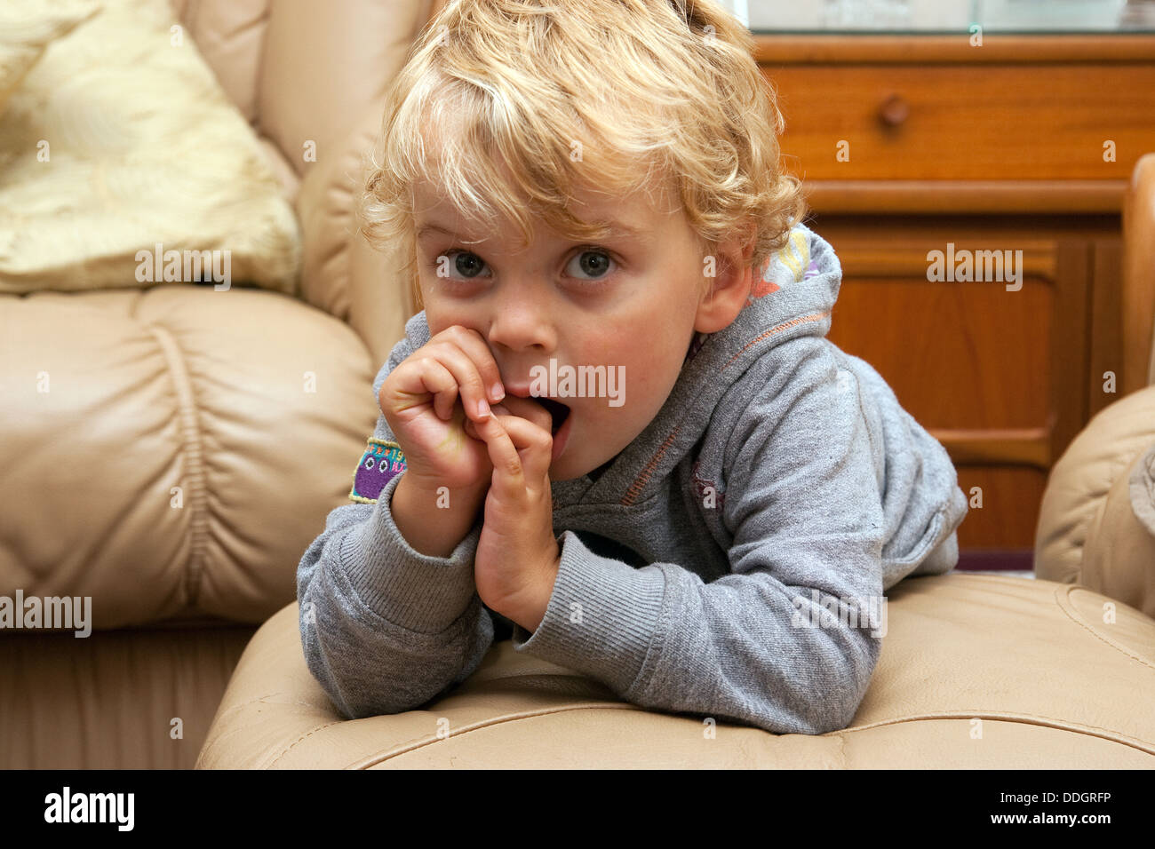 Family photos toddler boy golden hair looking thumbs in mouth Stock Photo