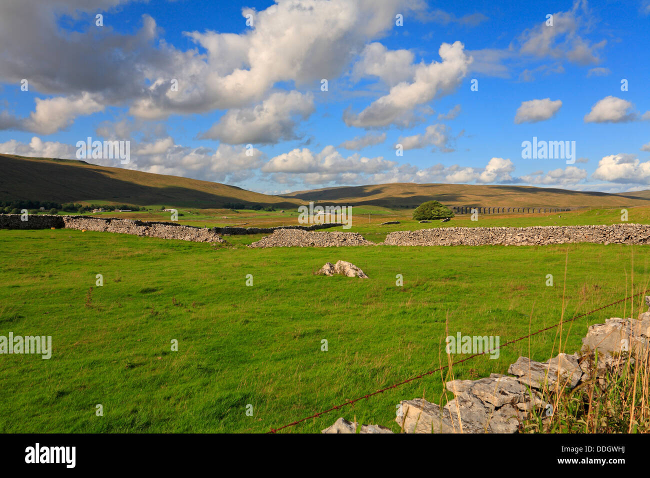 Whernside, Ribblehead Viaduct and Blea Moor from Chapel le Dale, North yorkshire, Yorkshire Dales National Park, England, UK. Stock Photo