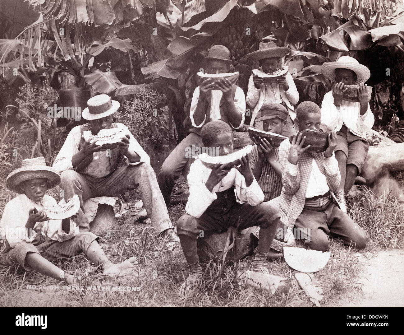 Eating Watermelon, Bermuda, 1890 by N.E. Lusher Stock Photo