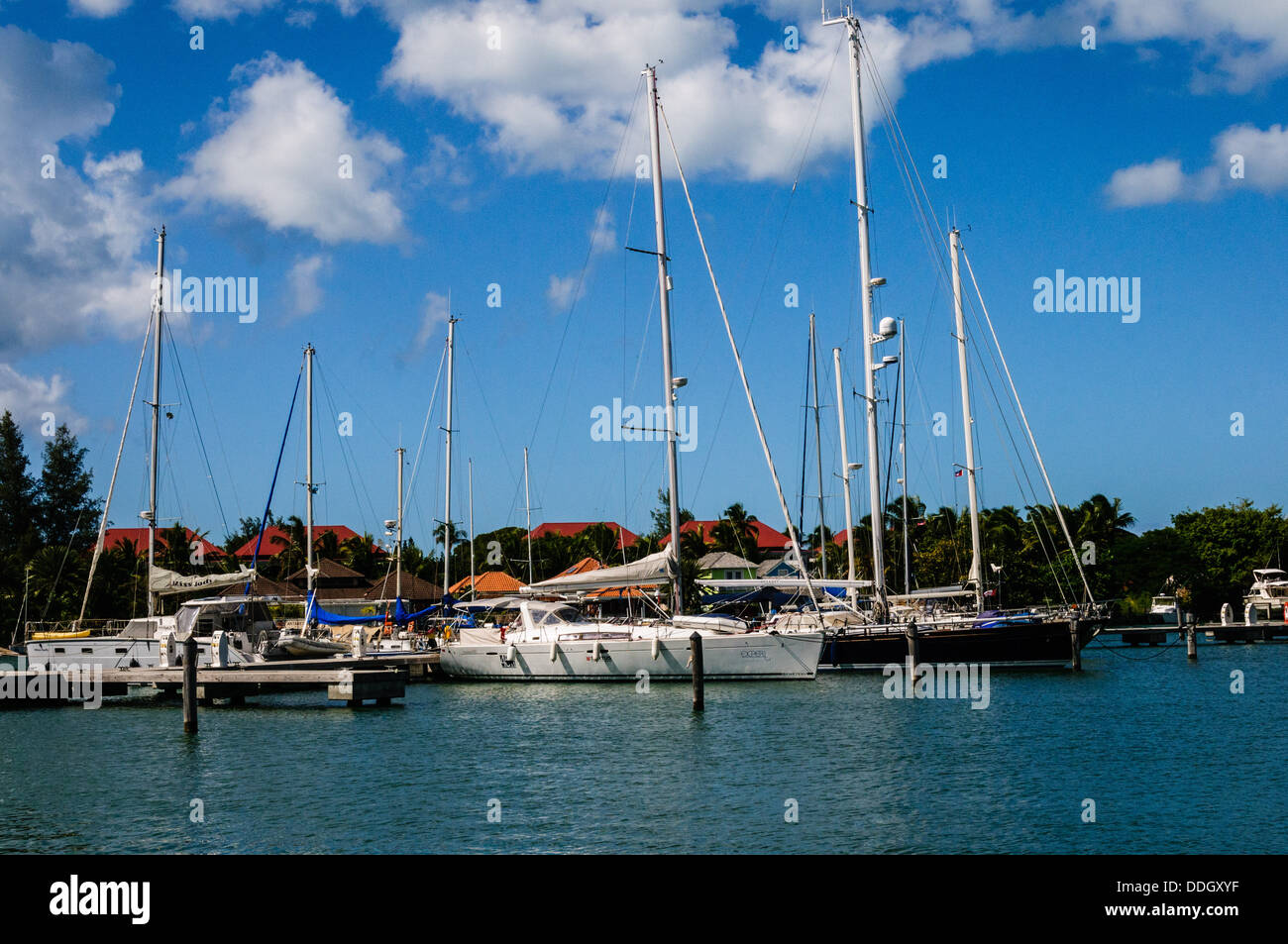 Jolly Harbor Marina, Antigua Stock Photo Alamy