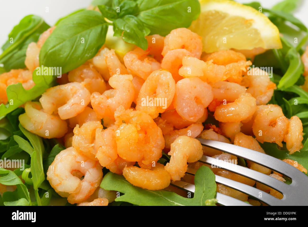Spicy shrimps on bed of salad greens Stock Photo