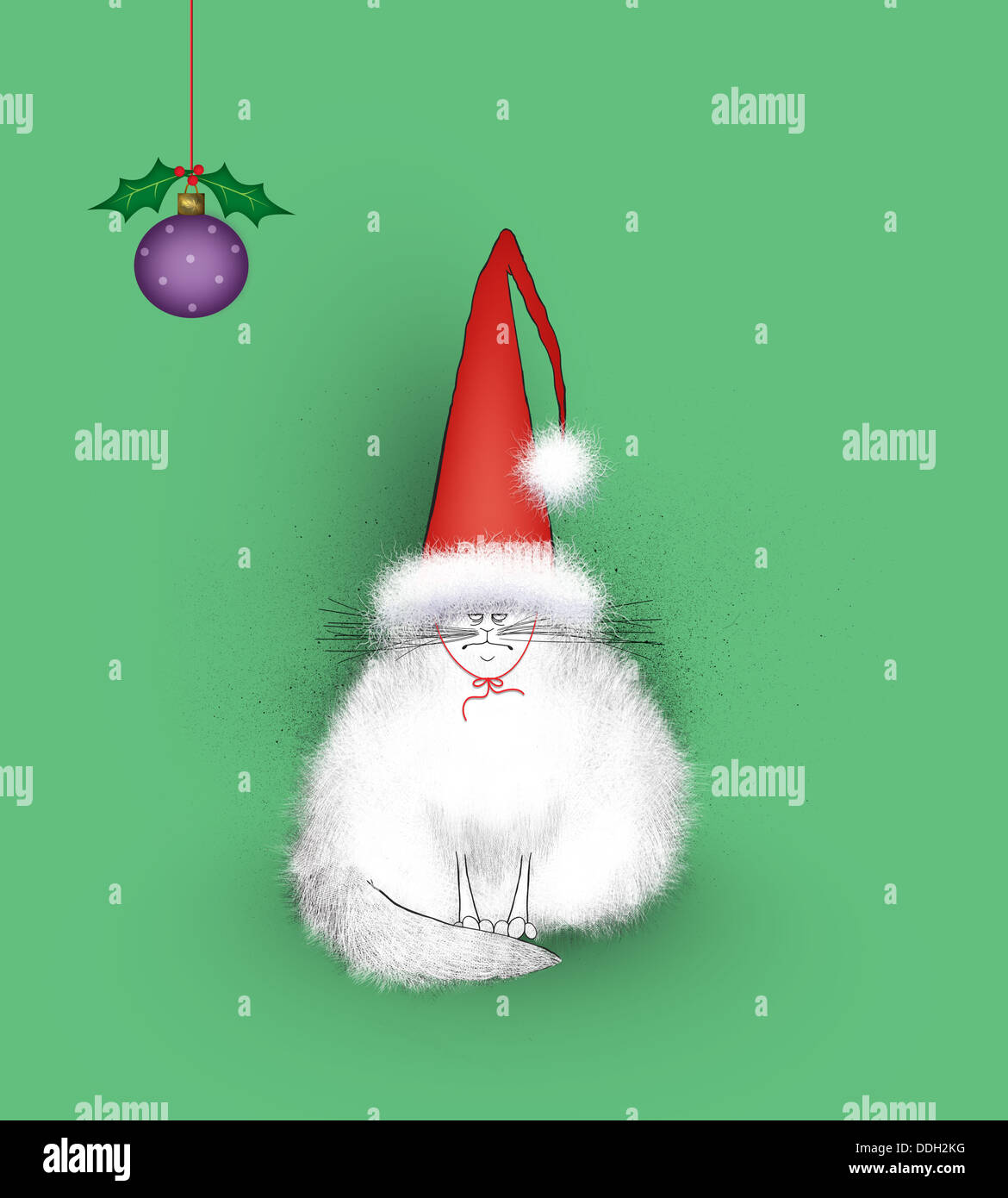 Angry White Cat in Silly Santa Hat Stock Photo