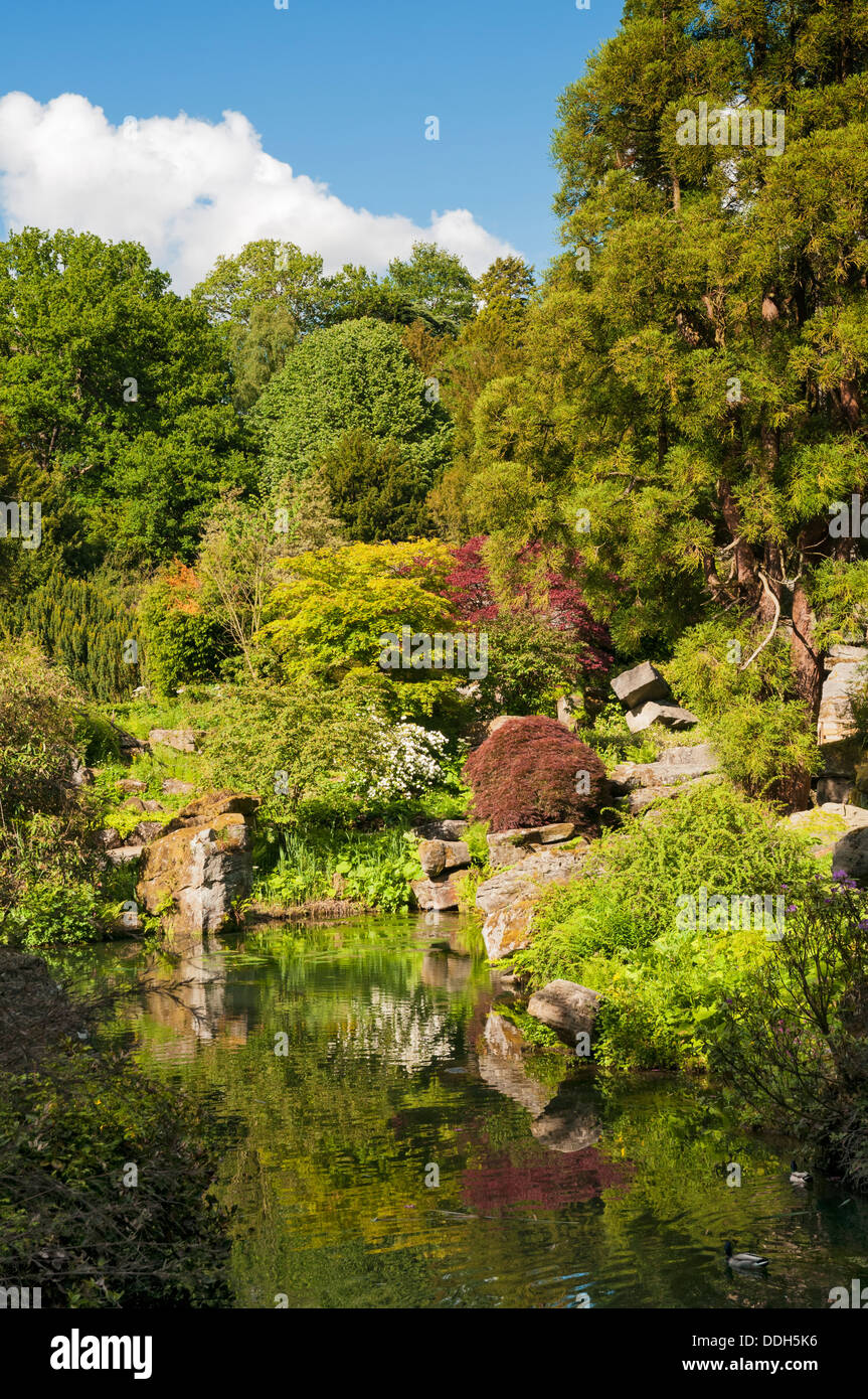 Great Britain, England, Derbyshire, Chatsworth, garden, pond Stock Photo