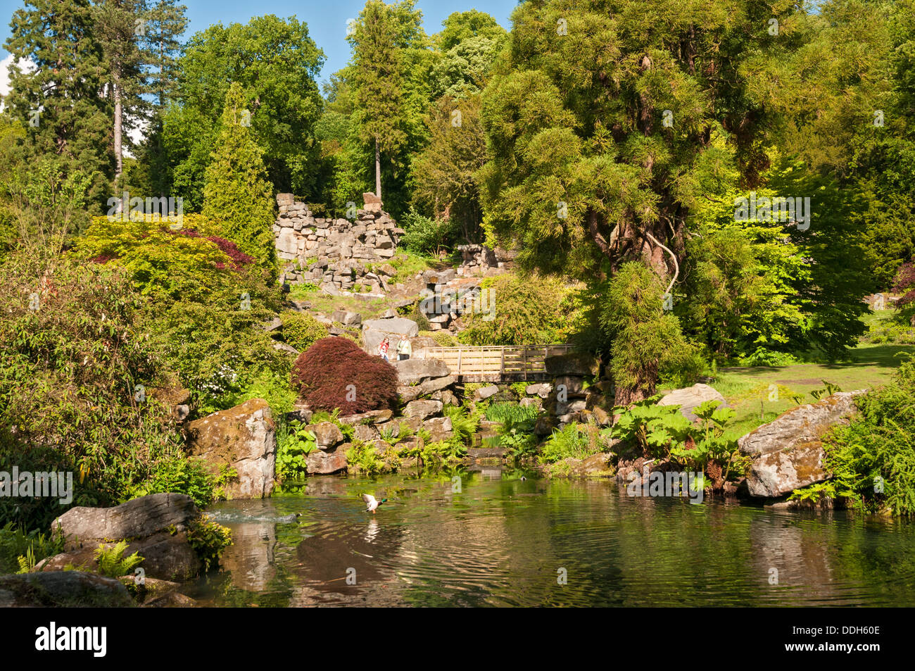 Great Britain, England, Derbyshire, Chatsworth, garden, pond Stock Photo