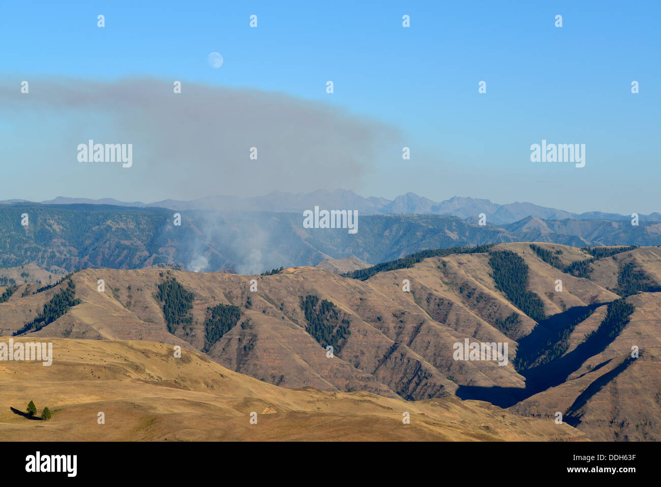 Smoke rising from a forest fire in Hells Canyon, Oregon. Stock Photo