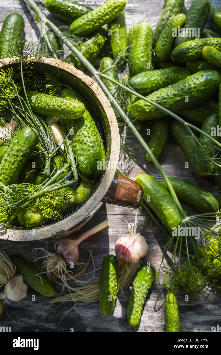 Preparation of lowsalt pickled cucumbers Stock Photo Alamy