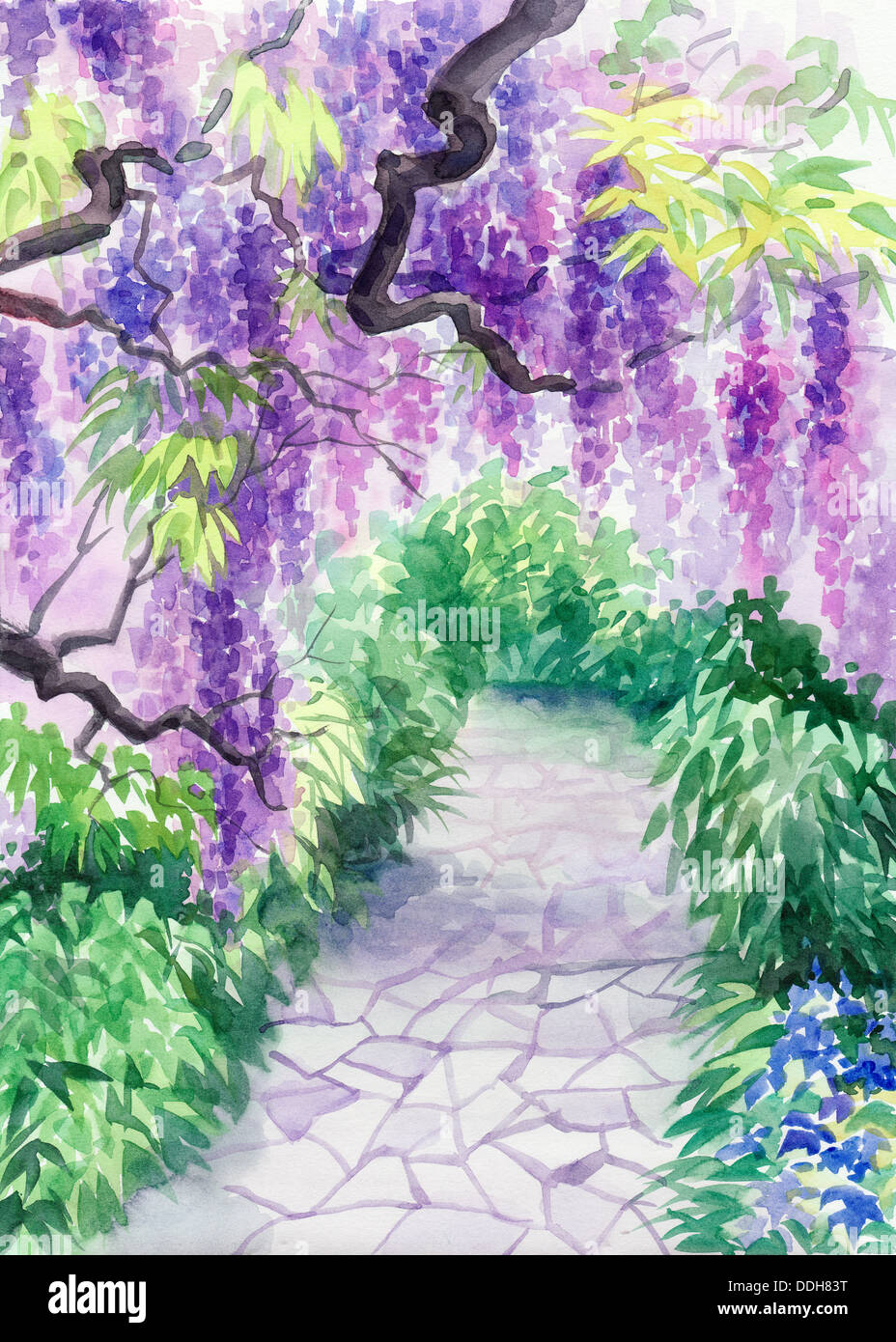 Original watercolor painting of beautiful wisteria garden with alley Stock  Photo - Alamy