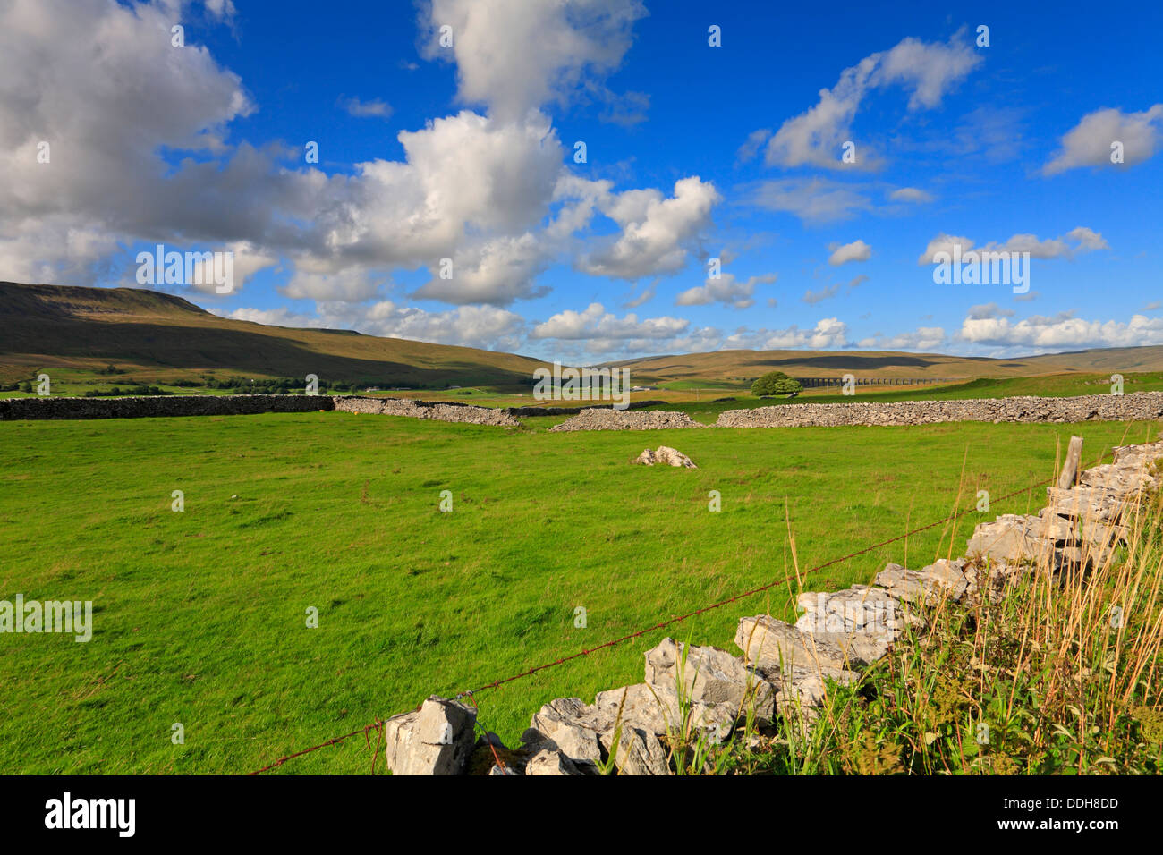 Whernside, Ribblehead Viaduct and Blea Moor from Chapel le Dale, North yorkshire, Yorkshire Dales National Park, England, UK. Stock Photo